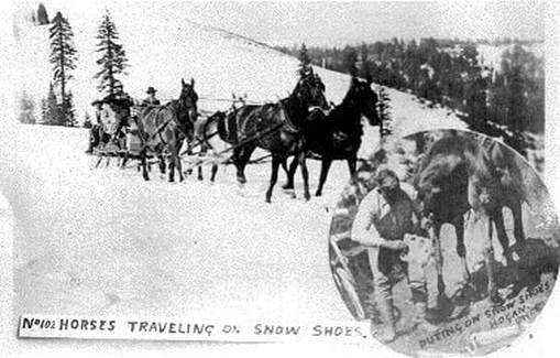 Picture of horse sled pulled by horses on snowshoes