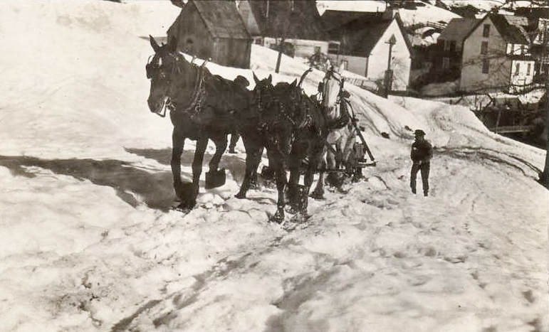 Horses leaving Forest City, Ca on snowshoes