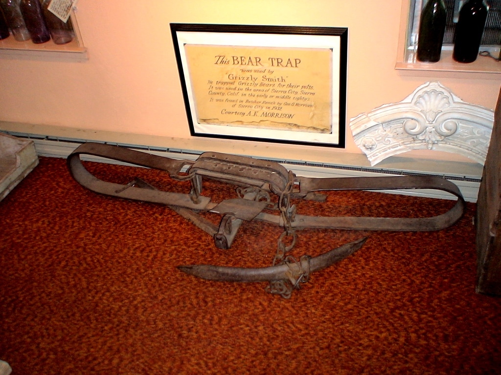 Picture of grizzly bear trap